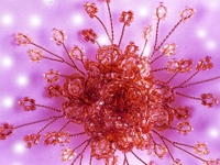bicer Bead Flower
